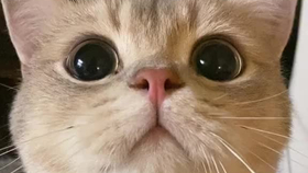 1fde0369ab09da139d3a8f25a9eb5986f03f48f0.png@280w_158h_1c_100q.jpg