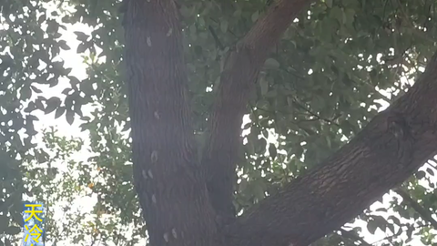 1fe5cf9448eceb9622d55d7f3ec161404c2274f7.png@480w_270h_1c