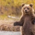 去动物园，喂完眼前的熊，一转头看到了这一幕。。。。