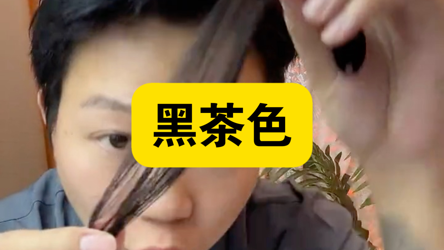 染发测评，这期黑茶色