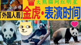 20321a3fa8fa9a96e3a39b194b816cd5b3b4ab7c.jpg@280w_158h_1c_100q.jpg