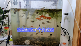 203f318f2f6fc12f10dbc6e5401015612d0cea1b.png@280w_158h_1c_100q.jpg