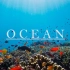 我想去看大海 --《蓝色星球》——【全景自然系列1】