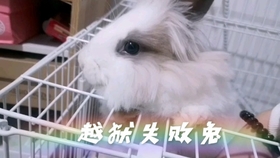2054958ba8d8577d029dae655ebbdfbc03ce49ac.jpg@280w_158h_1c_100q.jpg