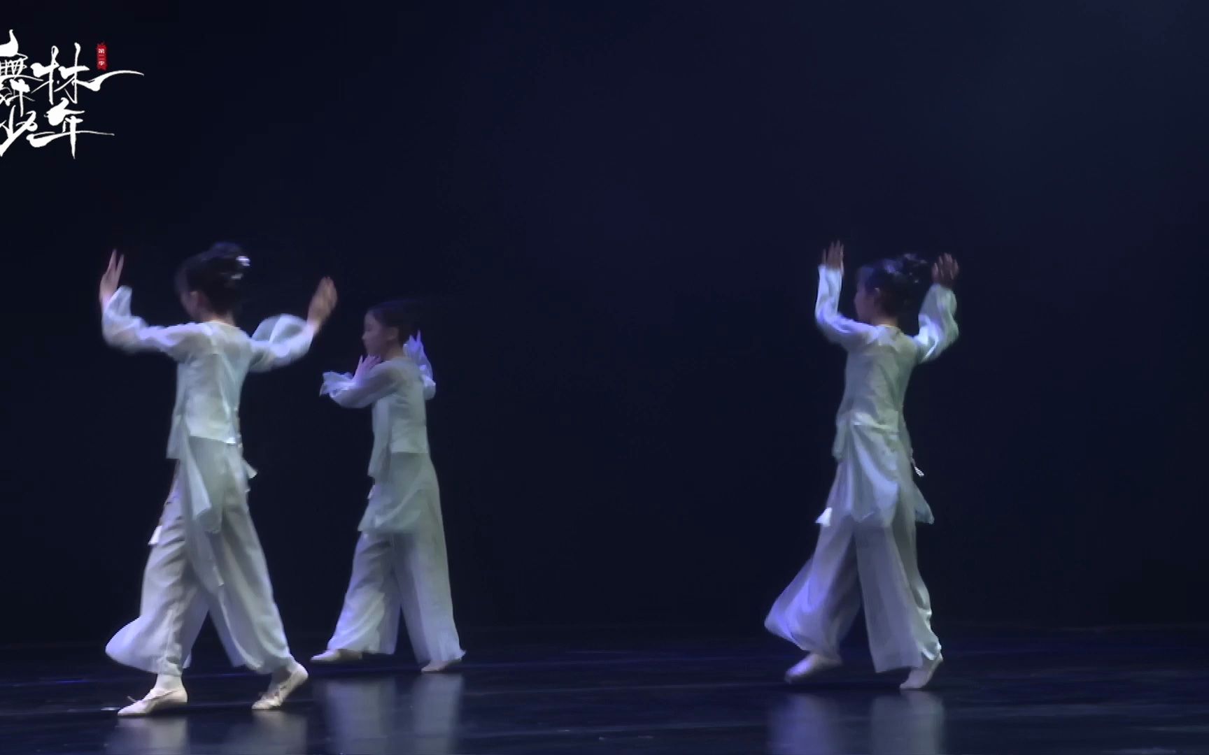 第二季“舞林少年”全国电视舞蹈展演剧目《踩水》