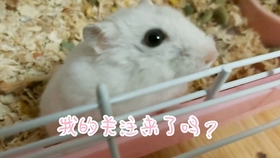 2056ee1f5d2bf8c04861185a81df57f98c41e345.jpg@280w_158h_1c_100q.jpg