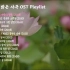 【搬运】【1小时学习背景音乐】?韩国中世纪电视剧OST?明亮,和平,美丽