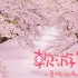 日本最美樱花公园《飞翔的魔女》圣地巡礼【软游记青森篇】