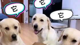20716fe6d8137e5b5b0c5133eb69ea9bfb5198bf.jpg@280w_158h_1c_100q.jpg