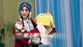 李胜素曲谱_李胜素梨花颂古筝曲谱(4)