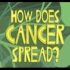 【Ted-ED】癌症如何在体内扩散 How Does Cancer Spread Through The Body