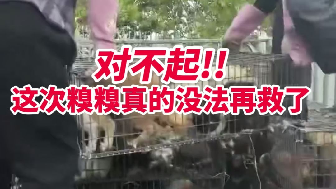 关注一下糗糗庄园吧，我们真的需要被看见
