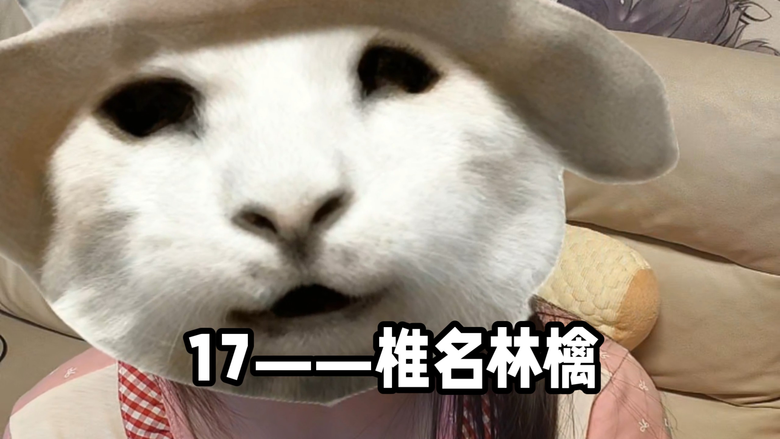 你好，今天是我生日