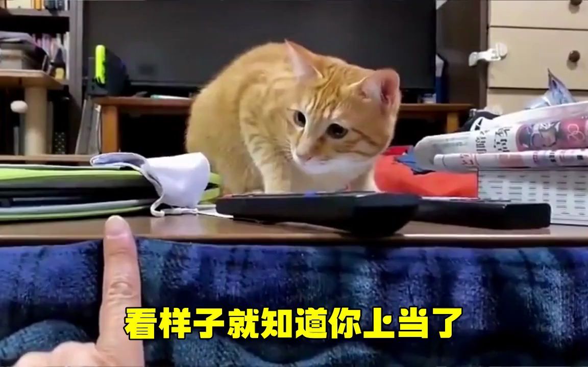 好奇心害死猫是真的,看样子就知道你上当了