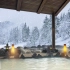 【环境声】冬天里的治愈，雪谷的露天温泉之旅　|热汤的声音|露天温泉的声音|雪花声