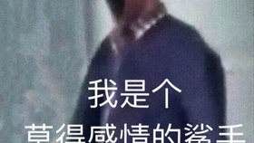 20febc28cff314e80f8c7670e55f04086206487f.jpg@280w_158h_1c_100q.jpg
