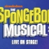 海绵宝宝音乐剧 The SpongeBob Musical: Live on Stage! 2019 英文字幕