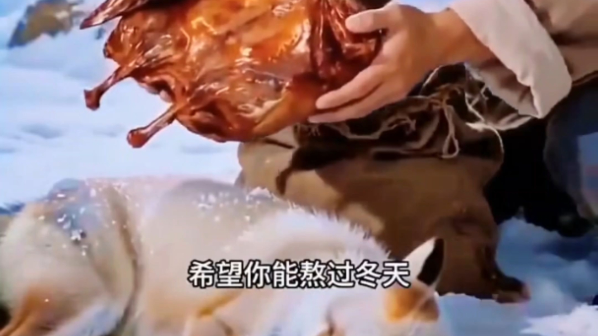 你救的是一只狐狸还是一只野鸡还是一个酱板鸭？