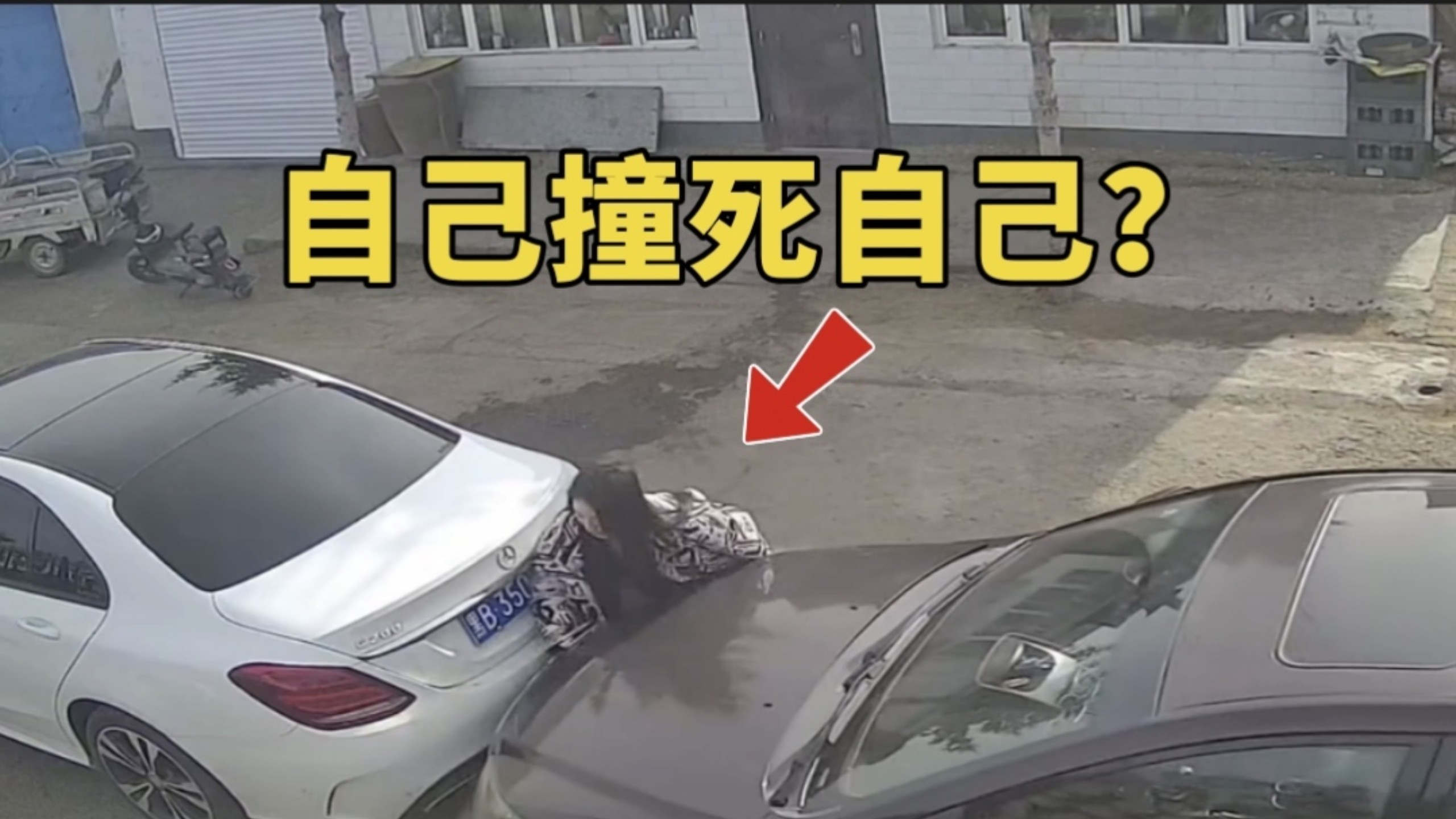 自己撞死自己？看得我厌蠢症都要犯了！