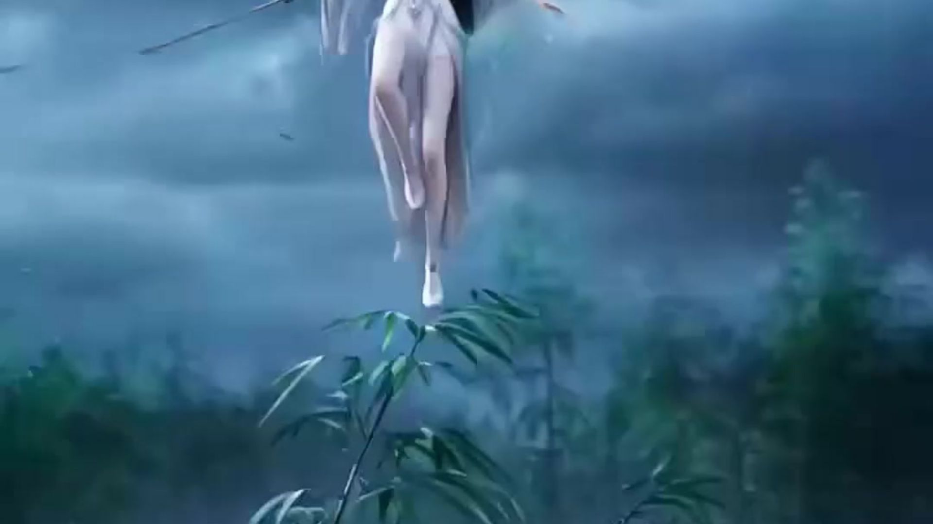 自制陆雪琪舞剑测试组3