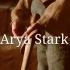 【权游】| 二丫高燃踩点向 | “A girl is Arya Stark FromWinterfell.”