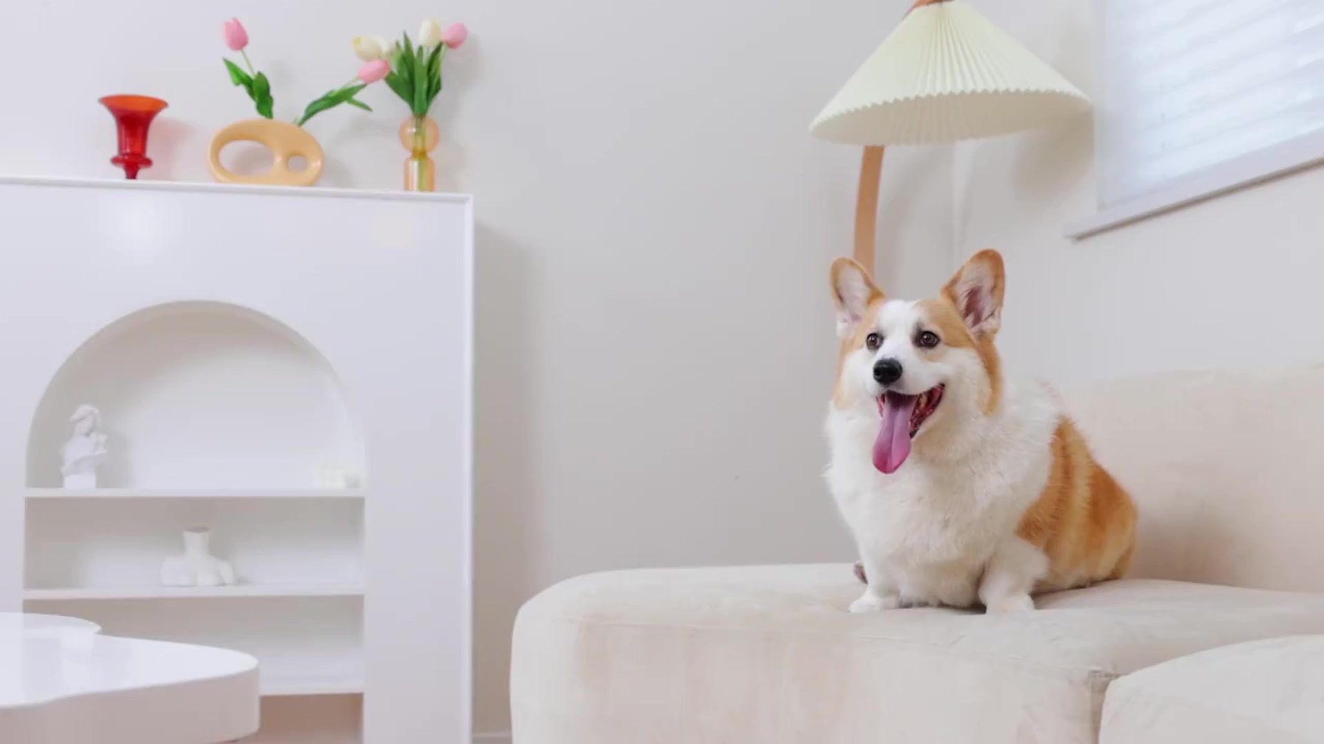 【空镜素材】在沙发上