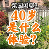 40岁是什么体验