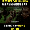 人和兽也能杂交？日本批准“人兽杂交实验”，是福祉还是灾难