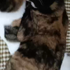 被妈妈抱着亲亲是什么感觉