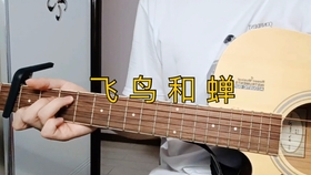 飞鸟和蝉曲谱图片_飞鸟和蝉拇指琴曲谱(3)