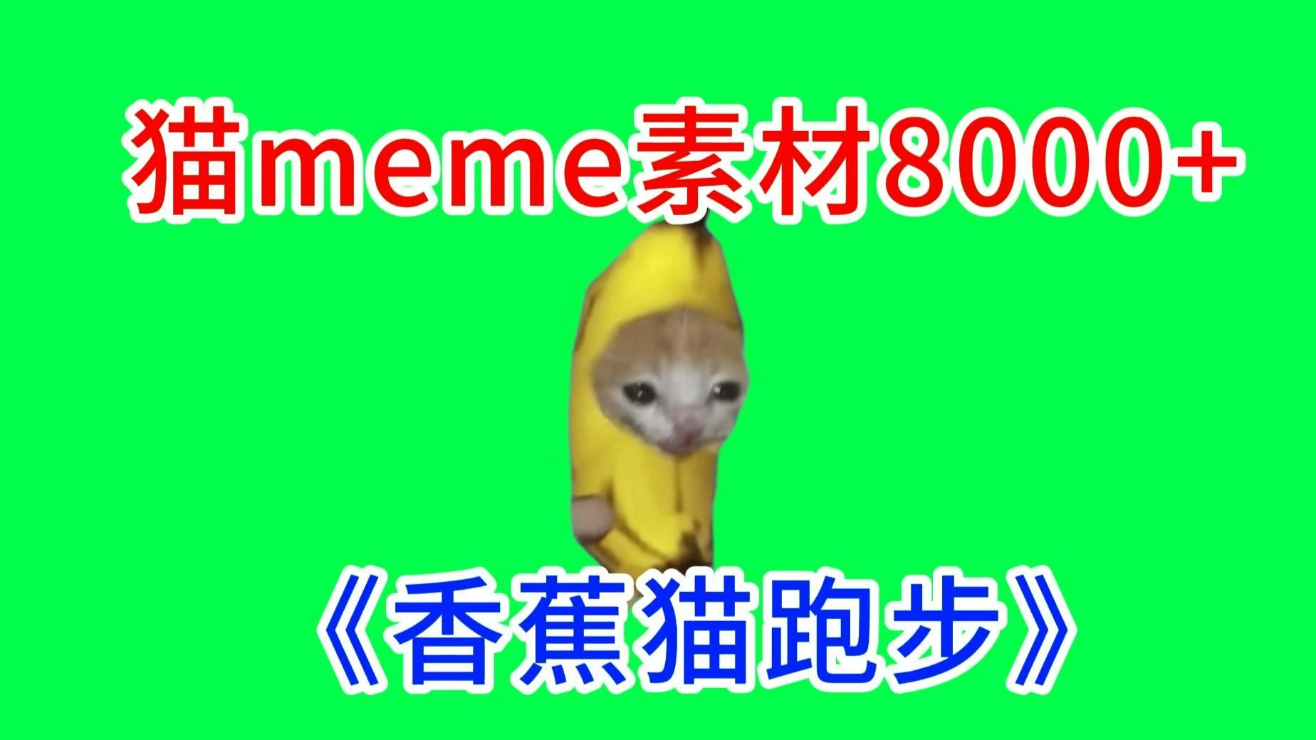 【香蕉猫跑步！】猫meme绿幕素材完整分享～，猫meme素材整合分享，合集分享！