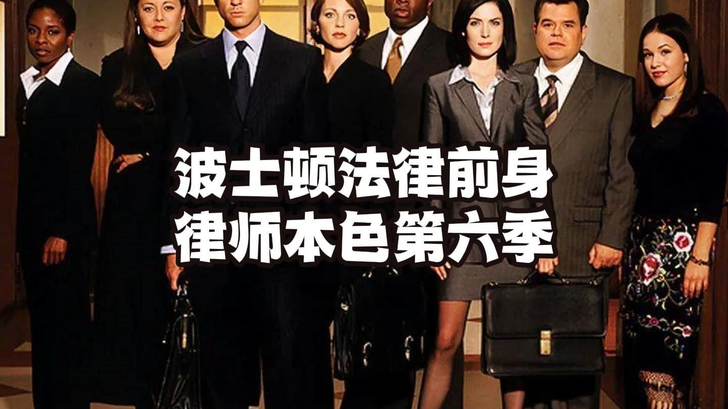 律师本色第六季 经典美剧