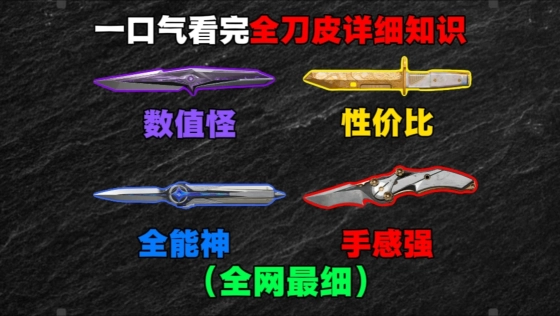 （全网最细）一口气看完13把刀皮详细知识，帮助你深入了解