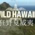 【国家地理】【野性夏威夷】【1080P】