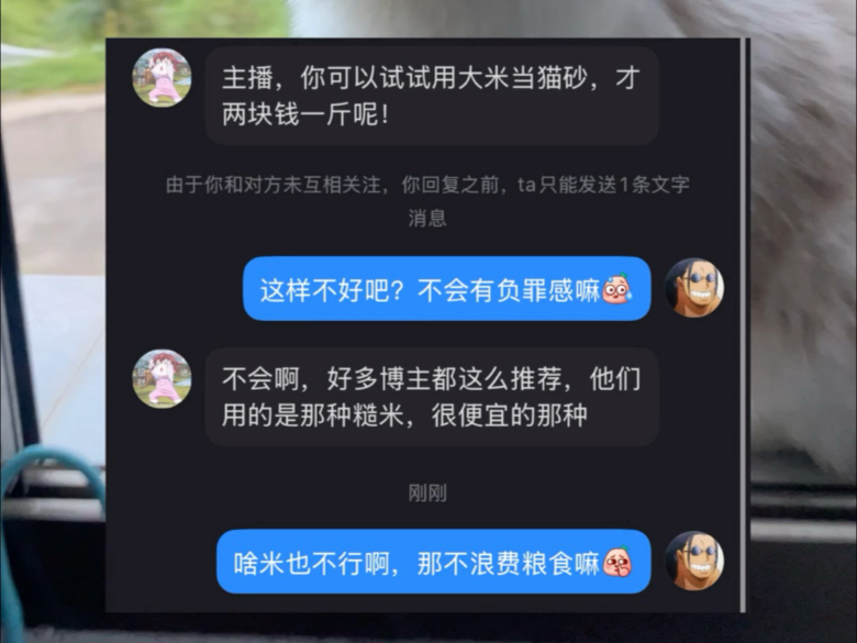 能想到用大米代替猫砂的也是人才了...