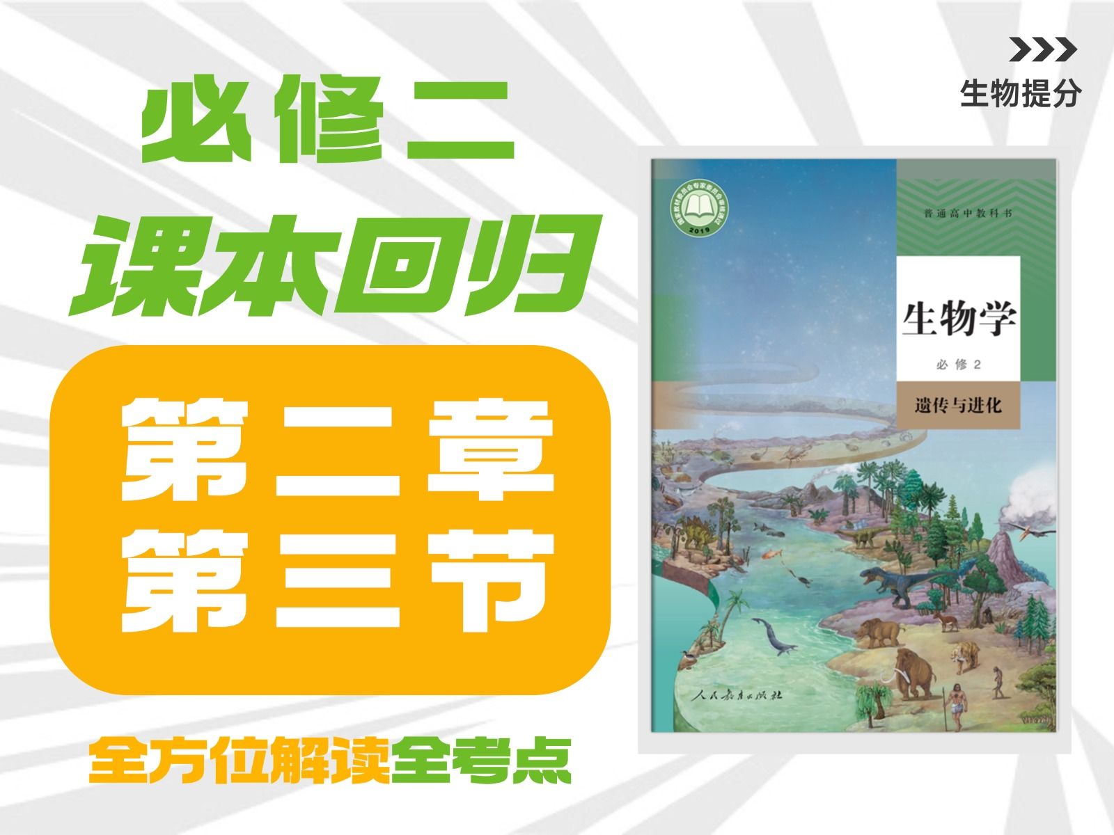 【高中生物课本回归】必修二 第2章 第3节 伴性遗传