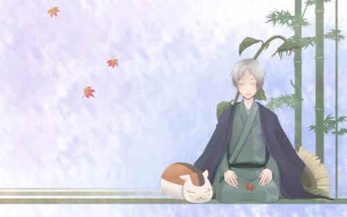 【夏目友人帐/夏目贵志mad】(角色应援)夏目,能遇见这么温柔的你,真是