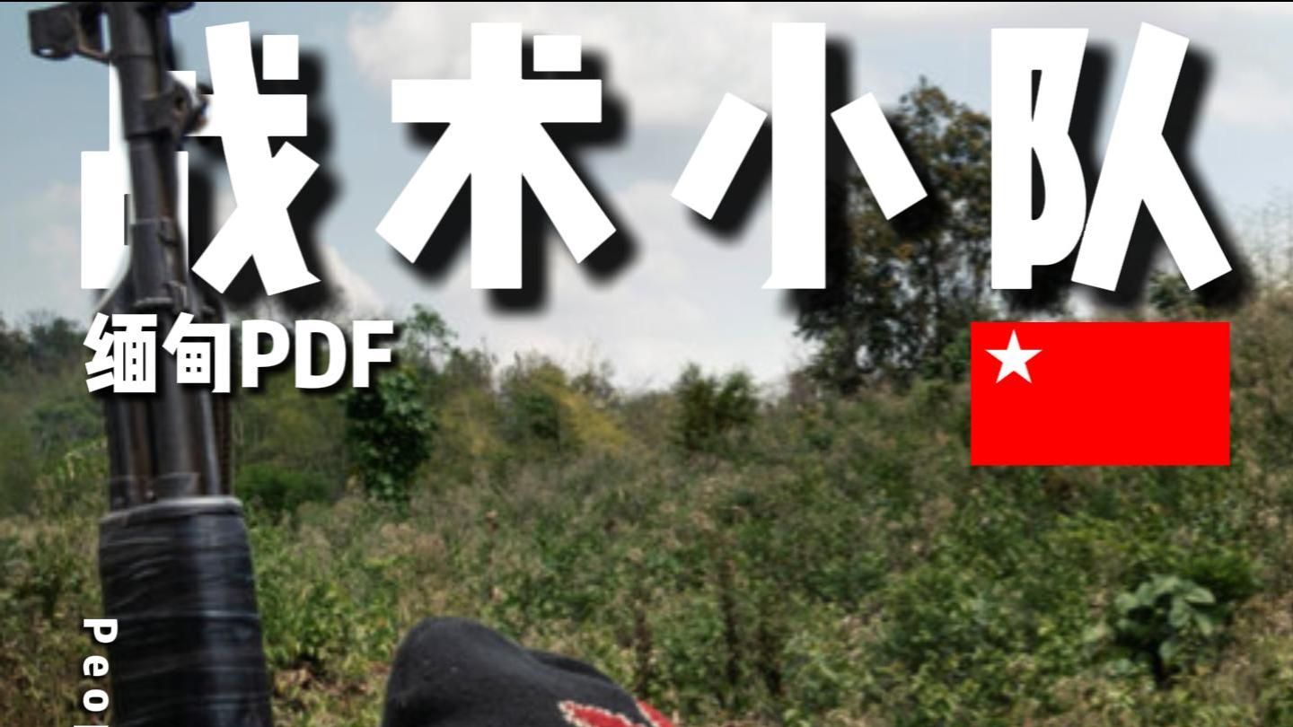 亚服缅甸一命模式运载目标比赛攻守双方第一视角解说！