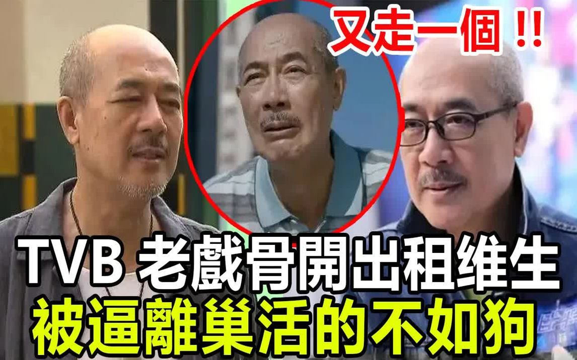 又走一个? TVB老戏骨被逼离巢,效忠43年今流落街头开出租,65岁拿命换钱太心酸!哔哩哔哩bilibili