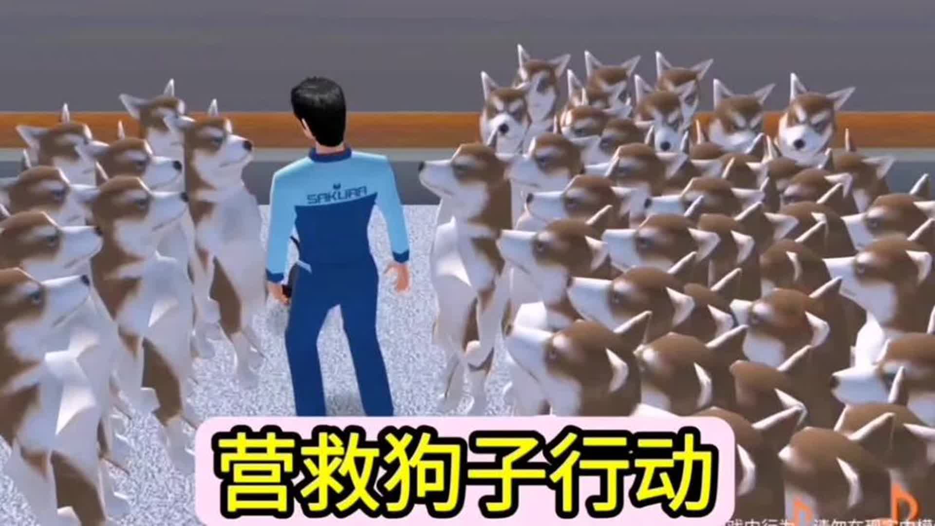 樱花校园模拟器：樱校营救狗狗行动，太艰难了