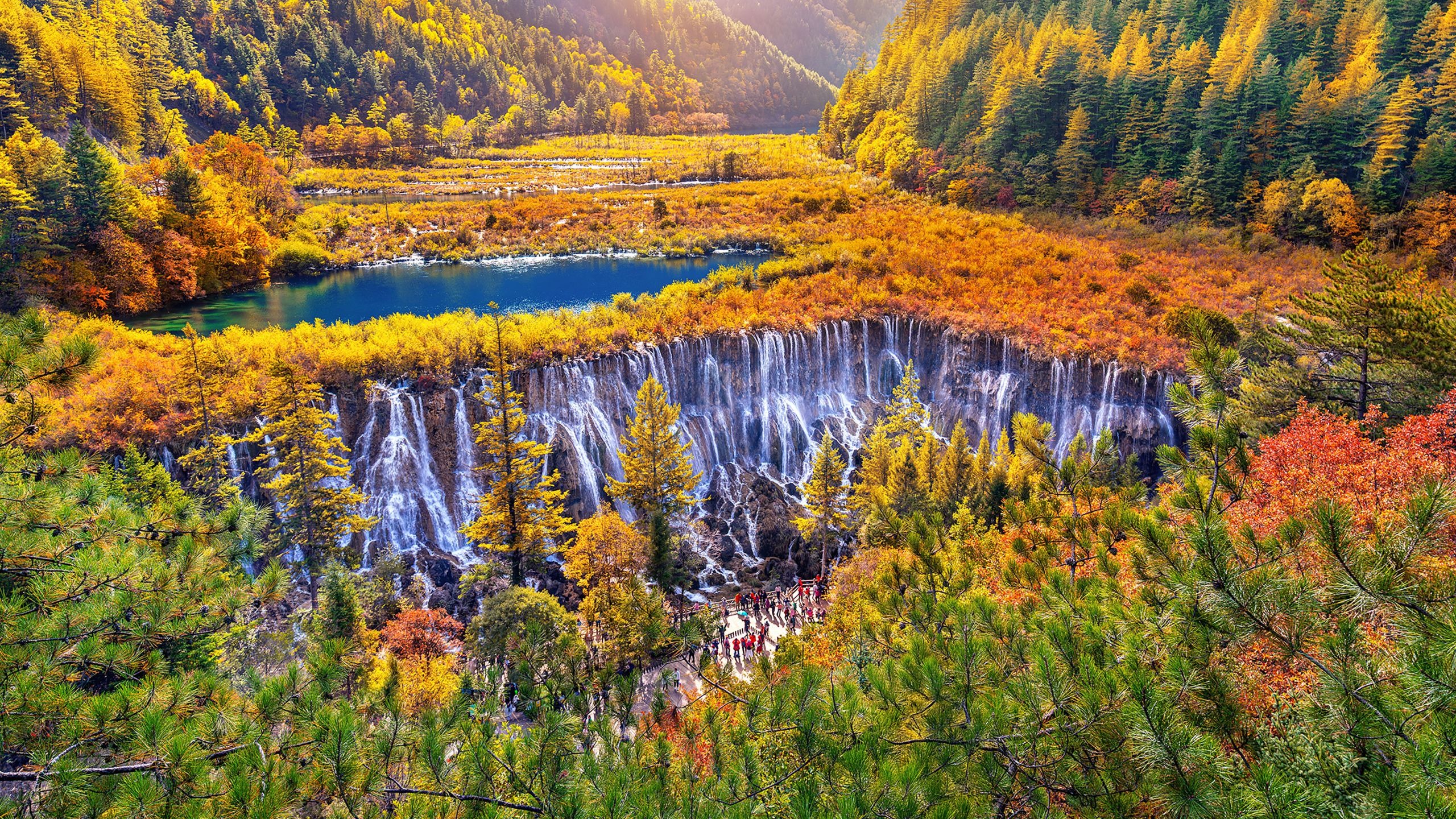 彩林叠翠间的瀑布 | 秋季九寨沟国家公园里的诺日朗瀑布, 四川省, 中国 (© tawatchaiprakobkit/Getty images)