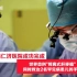 世界首例！仁济医院劈离式肝移植技术 同时救治罕见病双胞胎