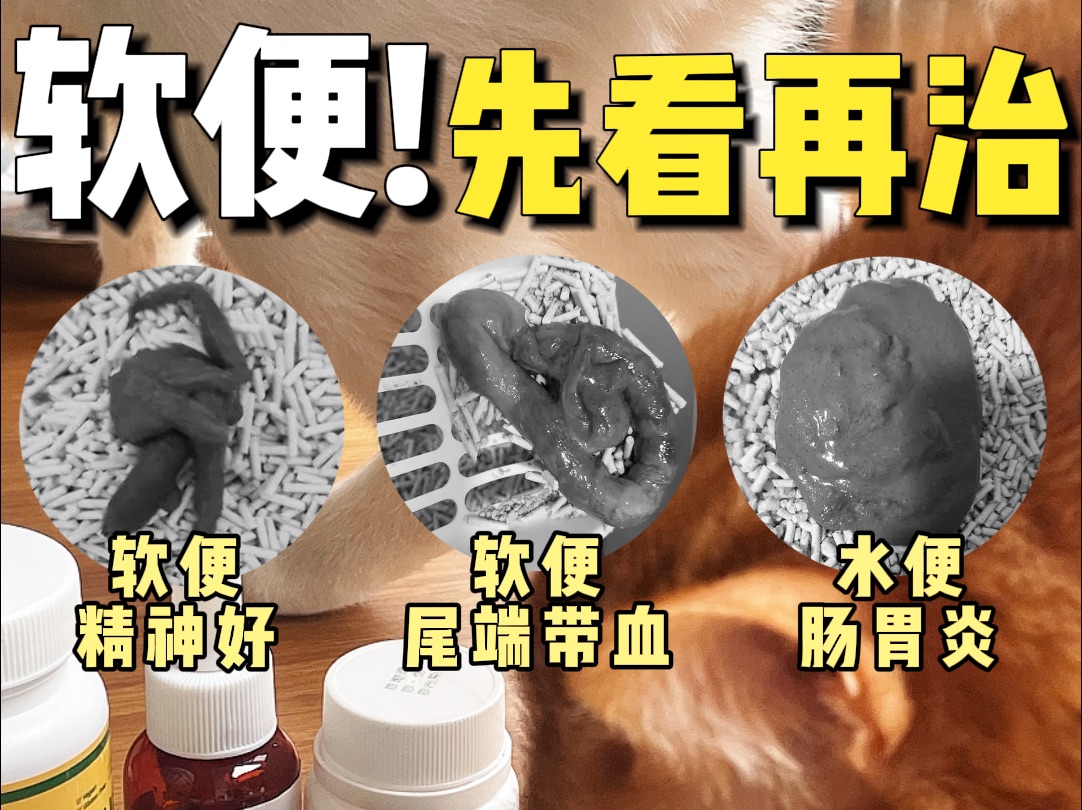 谁还不会自查软便呀❓能救一个是一个❗