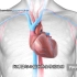 心跳太慢，看看心脏起搏器安装过程，3D演示。。