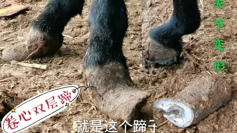 2267cfc8f56ae6f3980a63438cb91d5c4befeec2.jpg@480w_270h_1c