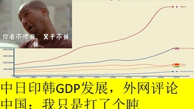 网民评论中国人均GDP过万_2020年中国人均gdp