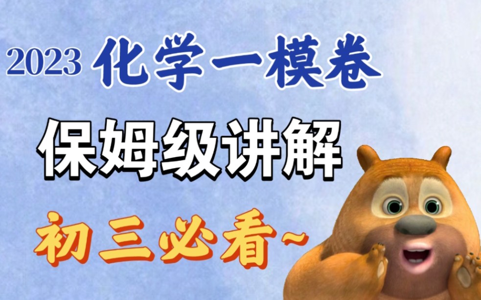 最新初三化学一模名校卷！逐题精讲！快速查缺补漏