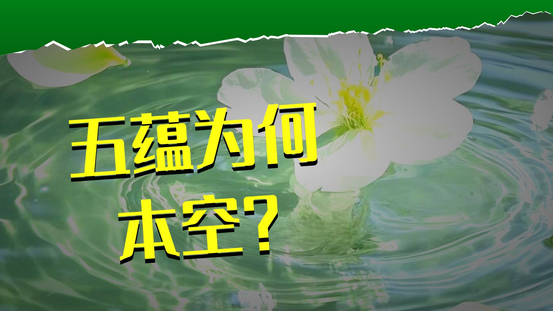 体佛法师开示：五蕴本空