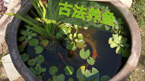 22ba97e1d0d7e62b4cf794c608d3ffa0b3460a53.jpg@480w_270h_1c