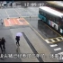300斤肥猪闯入青岛公交车站，网友：行走的万元户来了！